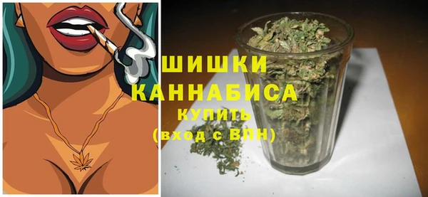 амф Богданович